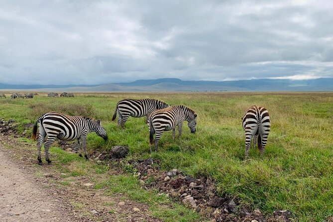 04 Days Tarangire, Serengeti and Ngorongoro crater group (Camping - Tarangire to Ngorongoro in 4 Days, With Less Guesswork