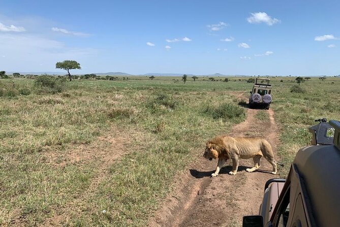 04 Days Tarangire, Serengeti and Ngorongoro crater group (Camping - Day 1 Tarangire National Park Game Drive and Karatu Overnight