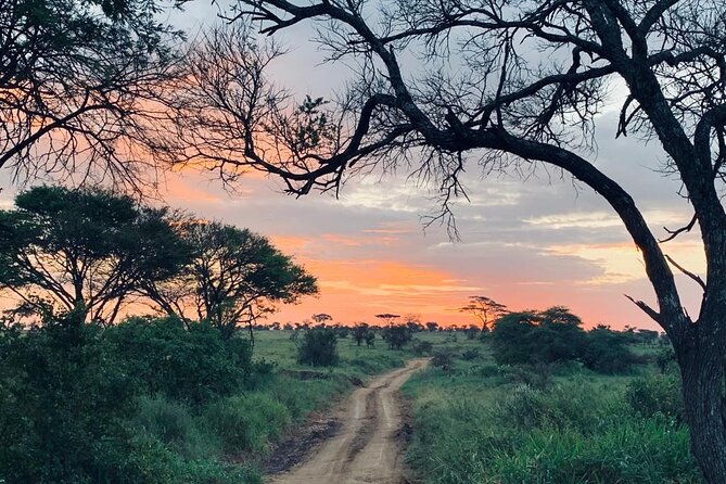 04 Days Tarangire, Serengeti and Ngorongoro crater group (Camping - Day 3 Ngorongoro Rim Setup, Guided Explanations En Route, and Simba Campsite Night