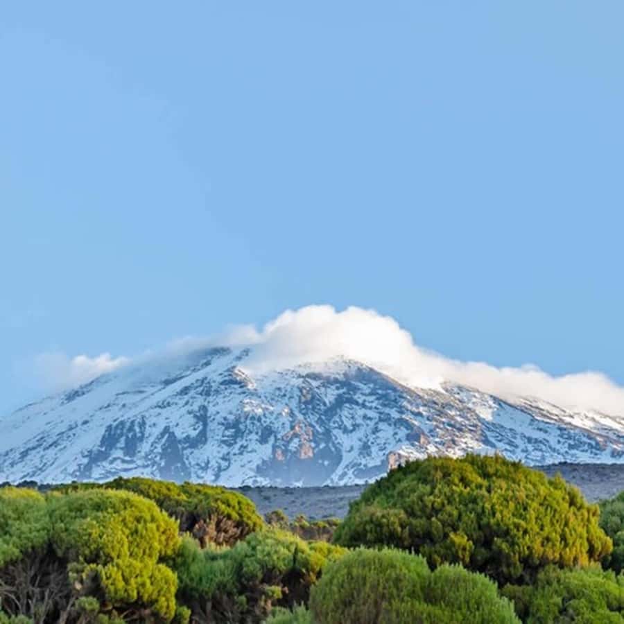 #1. Best Kilimanjaro Day hike Tour-Machame Route-ISMANI - Key highlights before you go