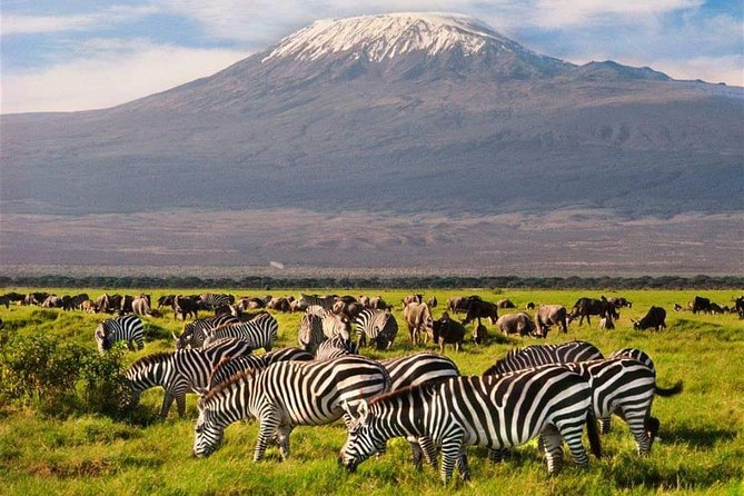 #1 Best Tanzania Safari Tarangire Day tour Adventure - Why Tarangire River viewing works so well in a single day