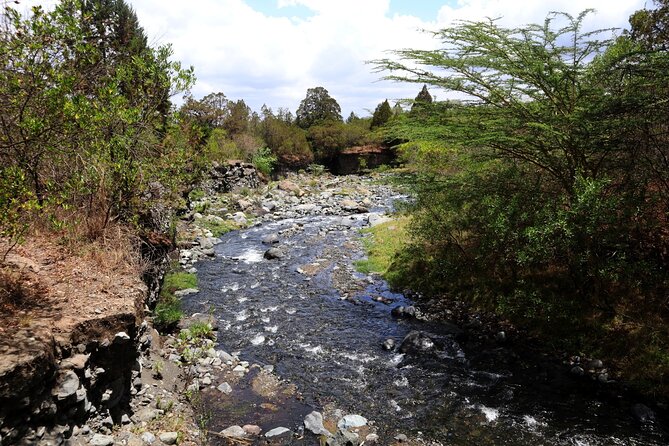 1 Day Arusha national park (Game drive and walking safari). - Arusha National Park is a smart one-day choice