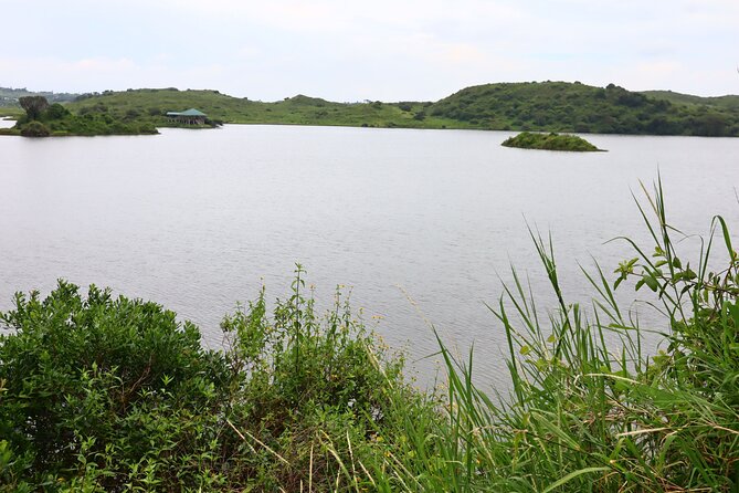 1 Day Arusha national park (Game drive and walking safari). - Walking safari with a ranger: up close, slower, and more real