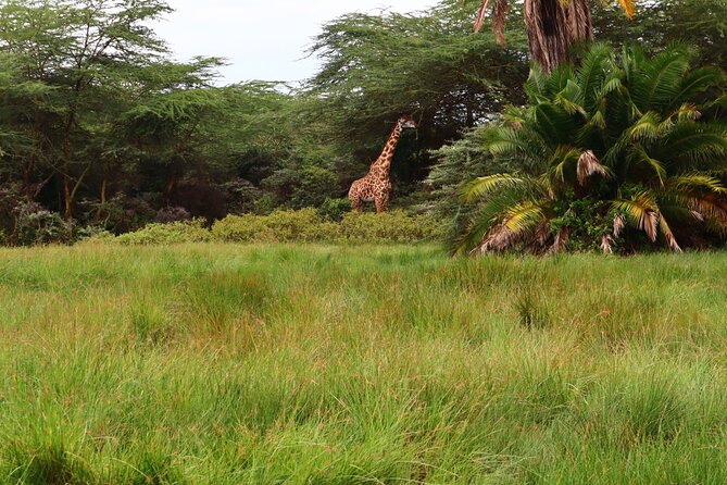 1 Day Arusha national park (Game drive and walking safari). - Momela Lakes and Mount Meru: more than scenery between sightings