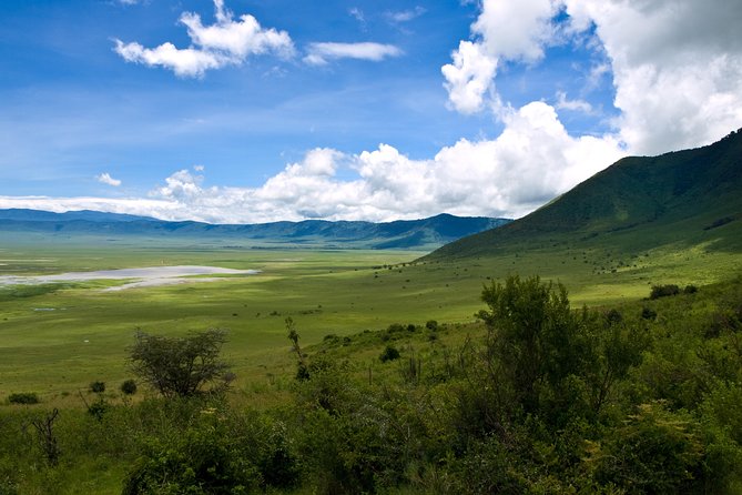 1 Day Joined Group Safari in Ngorongoro Crater National Park - Morning Start: The 5am Pickup That Powers Your Ngorongoro Odds