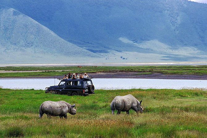 1 Day Joined Group Safari in Ngorongoro Crater National Park - Lake Makat and Birdlife: Why the Crater Isn’t Just About Big Cats