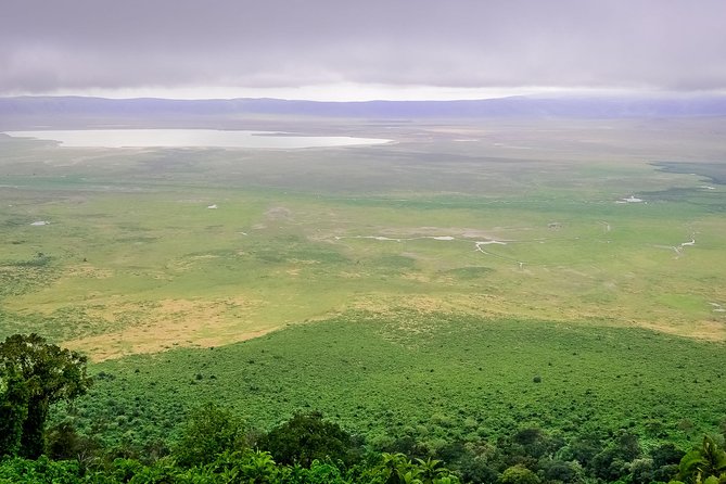 1 Day Joined Group Safari in Ngorongoro Crater National Park - Entering Ngorongoro Crater: Big Five Chances in a Volcanic Bowl