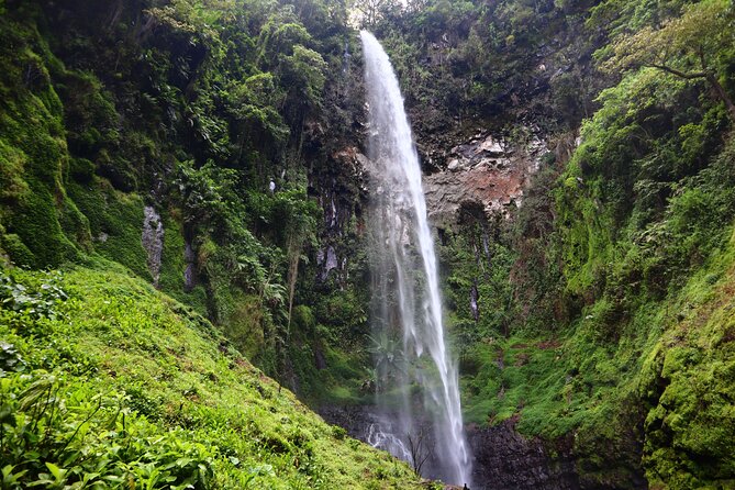 1 Day Kilimanjaro forest (mambori waterfalls). - Key highlights you will actually feel on the day
