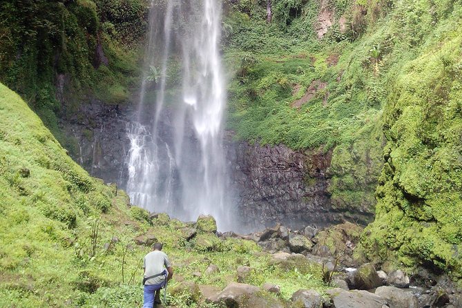 1 Day Kilimanjaro forest (mambori waterfalls). - Kilimanjaro forest hiking with Mambori Waterfall as the goal