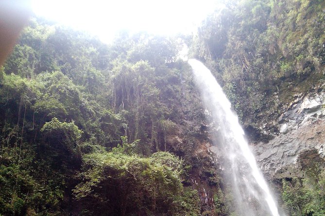 1 Day Kilimanjaro forest (mambori waterfalls). - Getting to the falls: what you can expect at Mambori Waterfall