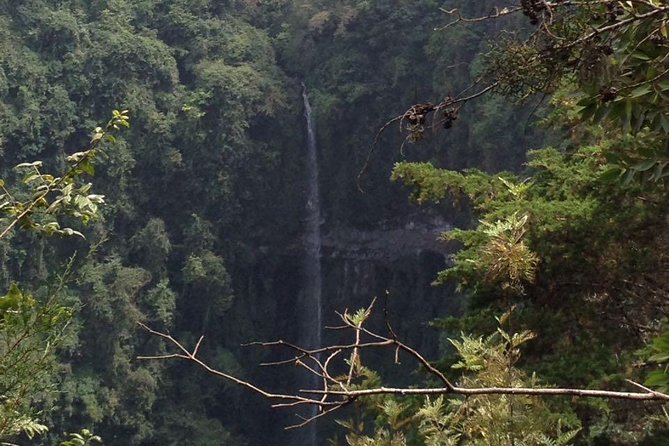 1 Day Kilimanjaro forest (mambori waterfalls). - The drive and start timing, Moshi pickup to trail time