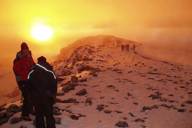 1 Day Kilimanjaro Hiking - Machame Route - Southern Circuit under the Southern Ice Field: where the climb gets serious