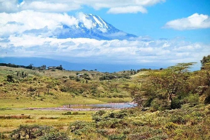 1 Day Kilimanjaro Hiking - Machame Route - Barafu summit attempt: your payoff zone, your biggest risk zone