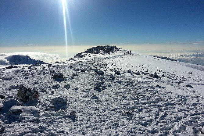 1 Day Kilimanjaro Hiking - Machame Route - Meals, transport, and the real value of the $250 price