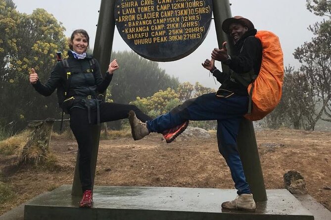 1 Day Kilimanjaro Hiking - Machame Route - Rainforest and Shira Plateau: the middle section that sets the mood