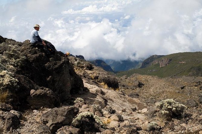 1 Day Marangu Route Climbing Kilimanjaro - Key highlights that make this 1-day Kili hike work