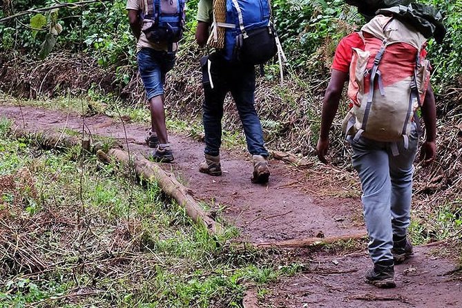 1 Day Marangu Route Climbing Kilimanjaro - Why the Marangu Route makes a one-day Kilimanjaro feel possible