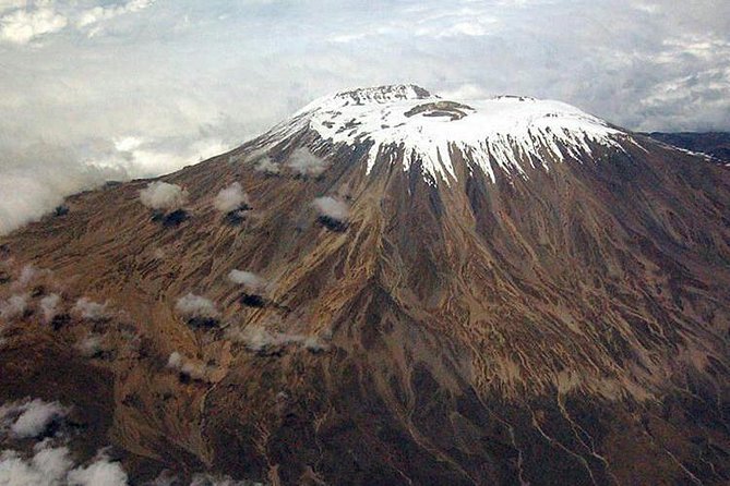 1 Day Marangu Route Climbing Kilimanjaro - Forest to Mandara Hut: what your day hike really feels like