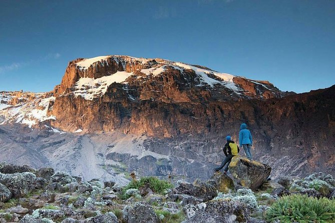 1 Day Marangu Route Climbing Kilimanjaro - What’s included in your day: lunch, commentary, and the missing beverage plan