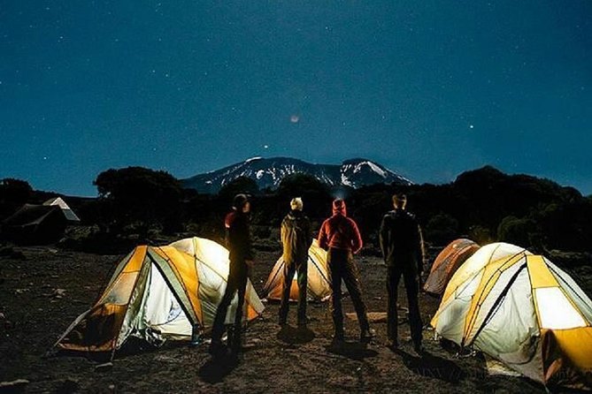 1 Day Marangu Route Climbing Kilimanjaro - Who this 1-day Marangu climb is best for