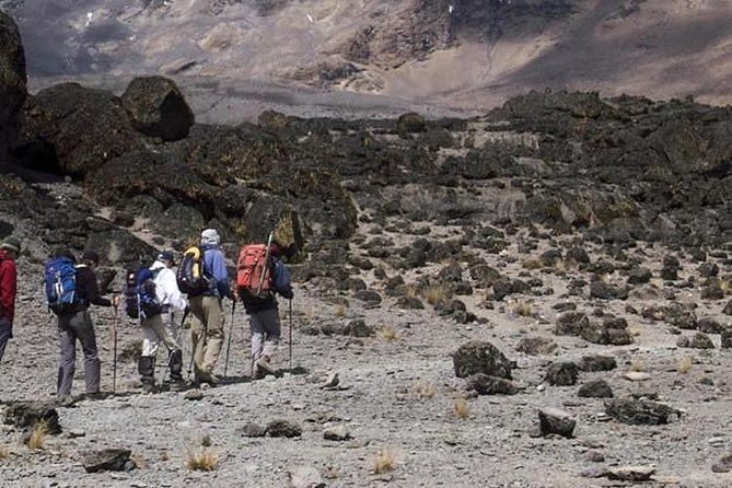 1 Day Marangu Route Climbing Kilimanjaro - Practical tips so your day hike feels smooth, not chaotic