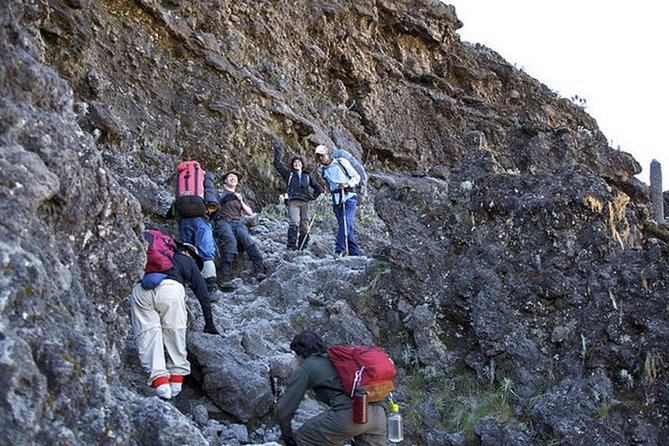 1 Day Marangu Route Climbing Kilimanjaro - The early drive from Arusha to Marangu Gate (and why it’s worth it)