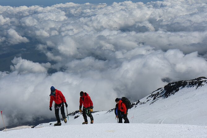 1 Day Marangu route trip up to Mandara Hut | Kilimanjaro hiking - Moshi to Marangu Gate: the early start that sets the tone