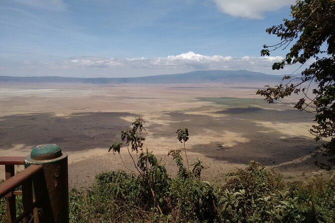 1 Day Ngorongoro Crater Group Jioning Safari - Descent and game drive: how Ngorongoro changes the rules