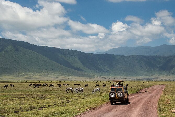 1 Day Ngorongoro Crater Group Jioning Safari - Big Five hopes, and how to set expectations for a single day
