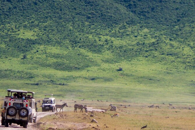 1 Day Ngorongoro Crater Group Jioning Safari - Private guide details that make the day feel personal