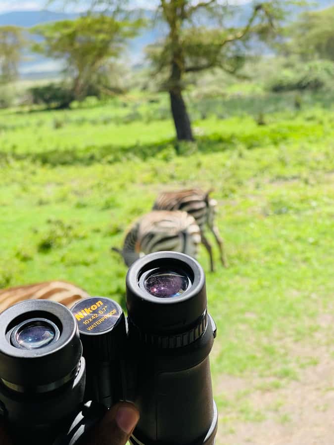 1 Day Ngorongoro Crater Group joining safari - Service Quality and Vehicle Logistics: The Real Difference Between Days