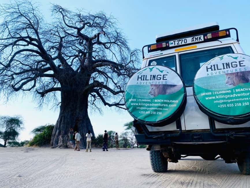 1-Day Ngorongoro Crater Special Big 5- Joining Group Safari - From the rim to the crater floor, in one tight rhythm