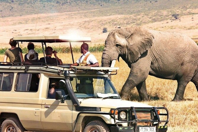 1 Day Private Ngorongoro Crater Safari - From Arusha at Dawn: The Drive That Sets the Day Tone