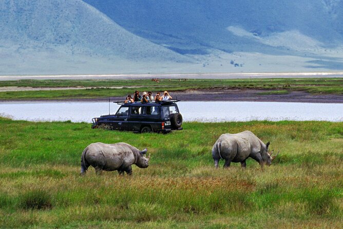1 Day Private Ngorongoro Crater Safari - The Crater Viewing Point: How to Spot More, Faster