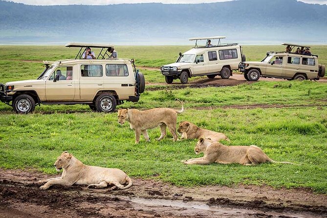 1 Day Private Ngorongoro Crater Safari - Lunch by the Hippo Pool: Eating With Wildlife on the Clock