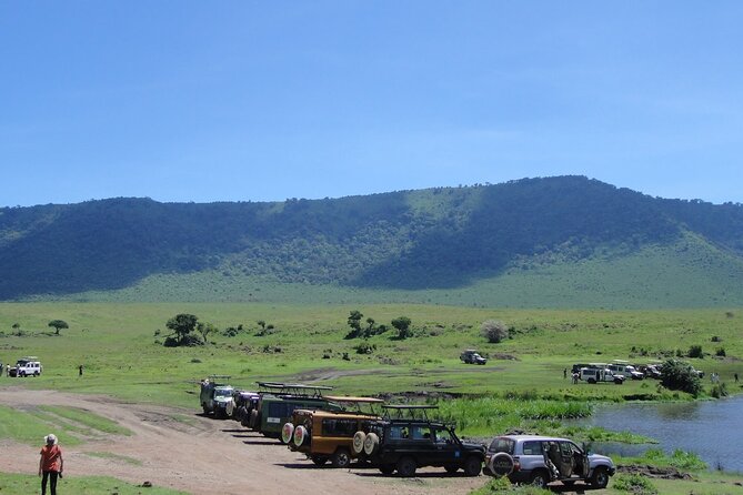 1 Day Private Ngorongoro Crater Safari - Wildlife Chances Inside Ngorongoro: Big Five, Big Cats, and the Real Picture
