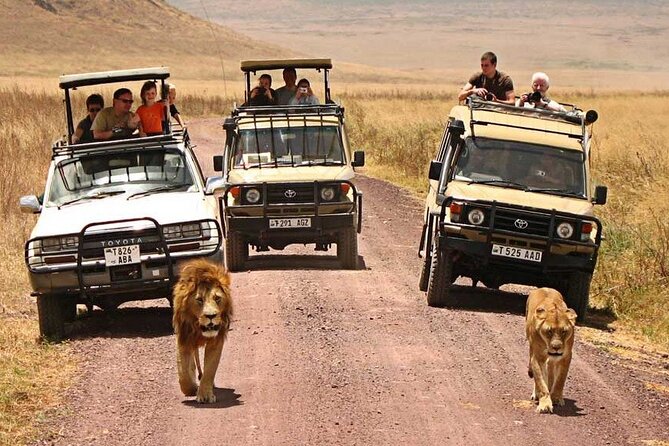 1 Day Private Ngorongoro Crater Safari - Price and Value: Is $565.18 Per Person Worth It?