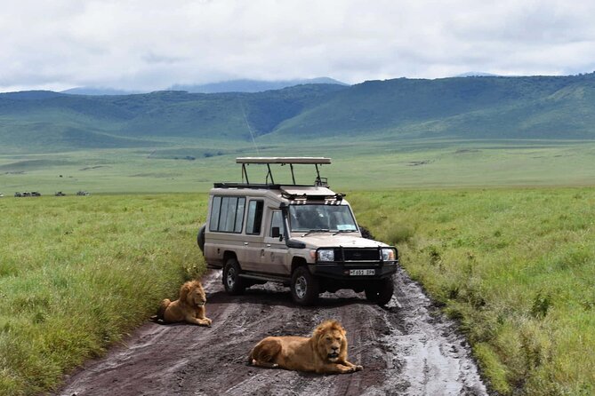 1 Day Private Ngorongoro Crater Safari - What to Pack and How to Make the Day Easier