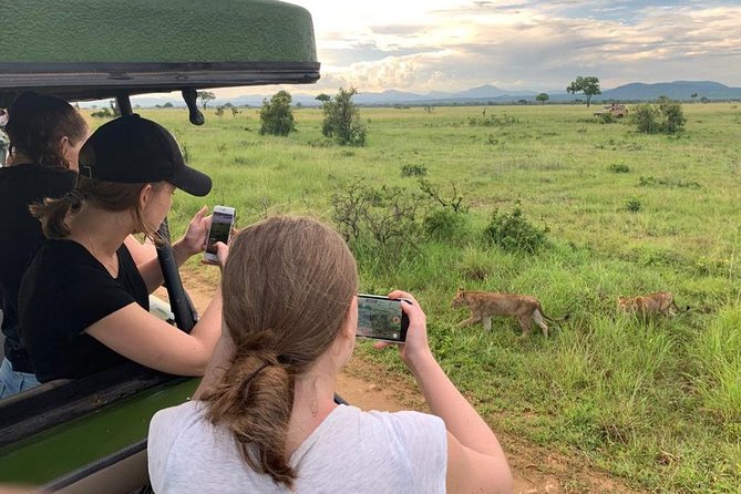 1 Day Safari to Mikumi National Park - Why a One-Day Trip to Mikumi Works So Well