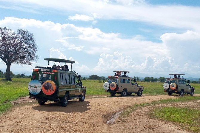 1 Day Safari to Mikumi National Park - Afternoon Game Drive Until 15:00, Then Back to Dar es Salaam