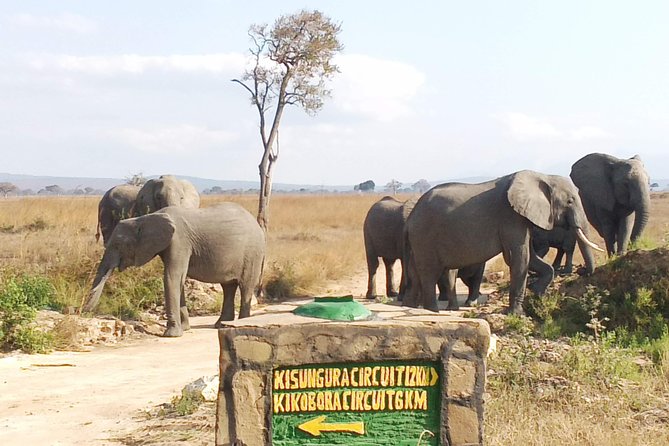 1 Day Safari to Mikumi National Park - Who This Mikumi Day Safari Is Best For