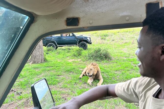 1. Day safaris to Mikumi by Train from dar es salaam - Key highlights you will actually care about