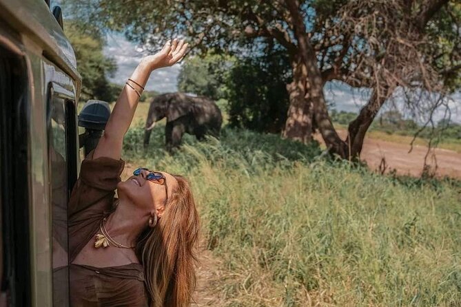 1. Day safaris to Mikumi by Train from dar es salaam - The real schedule: a 13-hour day built around animals