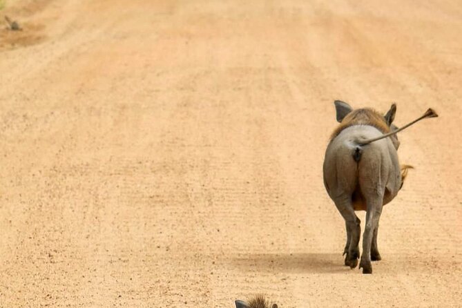 1. Day safaris to Mikumi by Train from dar es salaam - From Dar es Salaam to Morogoro: your first leg runs like a plan