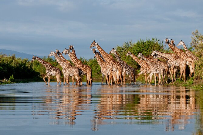 1-Day Selous (Nyerere National Park) Fly-In Safari from Zanzibar - Why a one-day fly-in safari works from Zanzibar