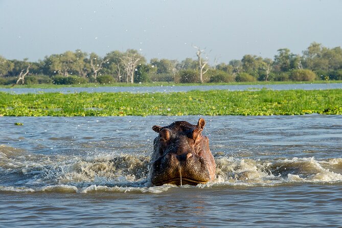 1-Day Selous (Nyerere National Park) Fly-In Safari from Zanzibar - Price and value: what $550 buys you (and what it does not)