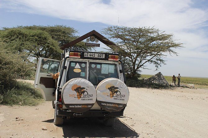 1 day tour hike mount kilimanjaro through marangu route - Key Things to Know Before You Go