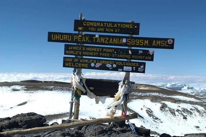 1 day tour hike mount kilimanjaro through marangu route - Finishing at Marangu National Park and Getting Back to Your Lodge