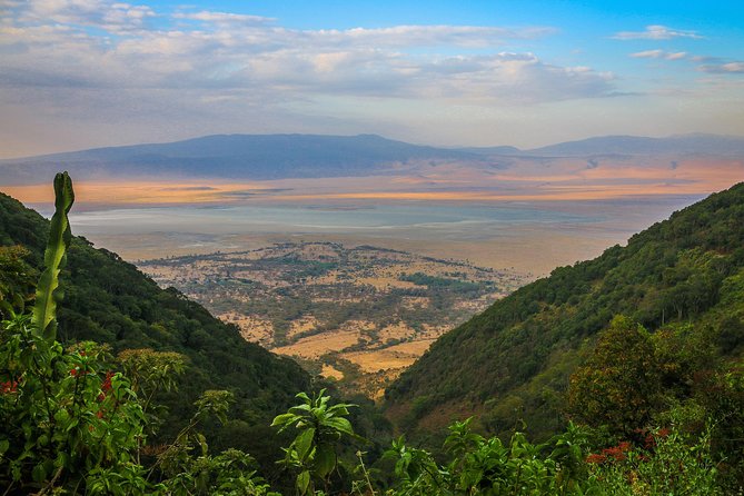 1-Day Tour to Ngorongoro Crater - Why Ngorongoro Crater from Arusha Is the Best One-Day Safari Bet