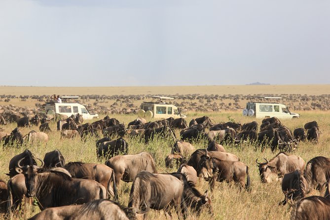 1 days Tanzania Sharing Joining group Safari - Ngorongoro Crater - Why Ngorongoro Crater Fits Perfectly Into a 1-Day Plan